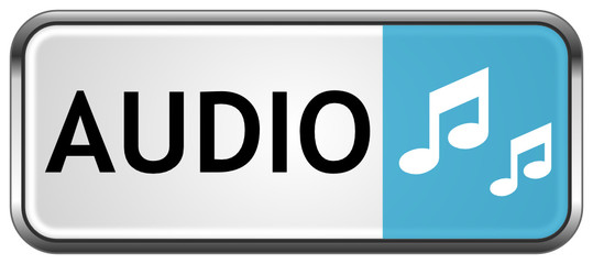 Audio Button