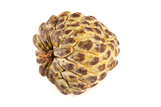 Anon or custard apple on white background