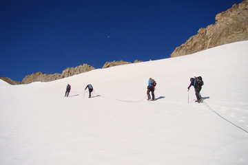 Fototapeta na wymiar Pnącza na lodowcu Sele (Hautes-Alpes)