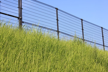 フェンスと空