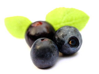 Isolated fruits - Blueberries