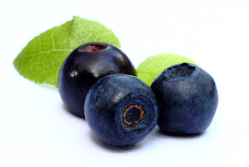 Isolated fruits - Blueberries