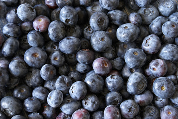 Blueberries
