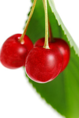 Three cherries.