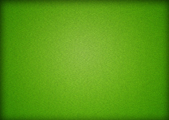 Fototapeta premium green grass field background