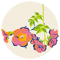 Chinese _trumpet_vine