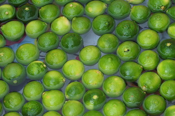 Citrus sphaerocarpa-1