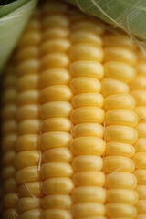 とうもろこし