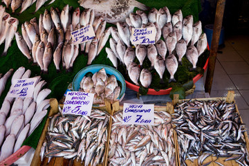 Fish Market Stall