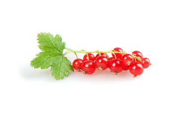 redcurrant