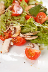 vegetable salad