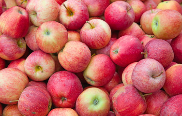 red apples