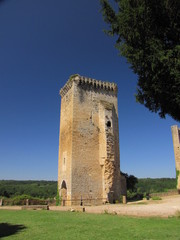 Ancien Ch&acirc;teau de Roquetaillade ; Gironde ; Landes ; Aquitaine