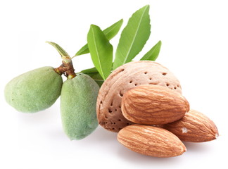 Group of almond nuts.