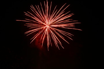 Firework