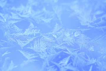 ガラスに付いた氷の結晶