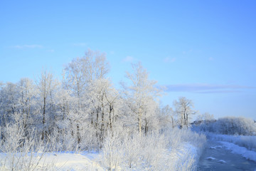 Obraz na płótnie Canvas 川辺の樹氷