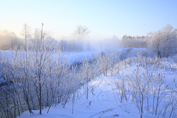 川辺の樹氷