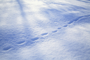 Fototapeta na wymiar Pełne Snowy ślady