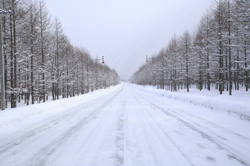 雪道