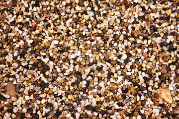 Small colored pebbles