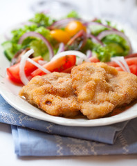 Schnitzel with vegetable salad on a plate