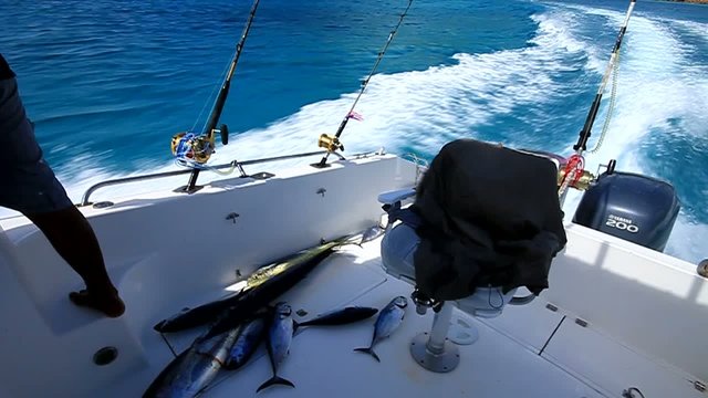 seychelles pesca d'altura