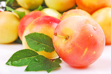 Plums, close-up
