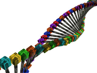 Model of DNA with metal rods and cubes of glass №1