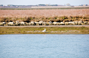 Laguna di Grado
