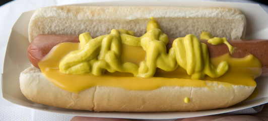 Hot Dog