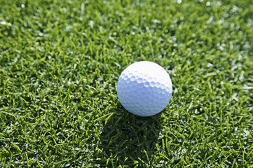ゴルフボール