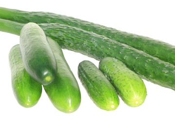 three sorts of cucumber