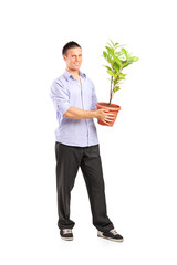 Happy young man holding a pot with decoration plant
