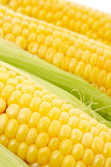 Yellow corns