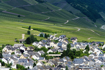 Fototapeta na wymiar Moselle winnice i wioski