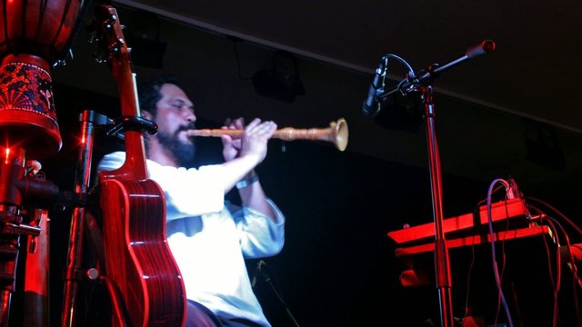 Indivia_on_stage_14