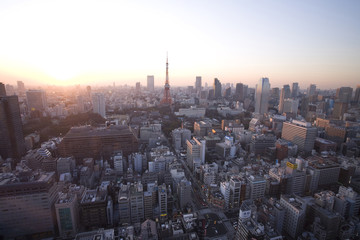 東京タワーの夕暮れ