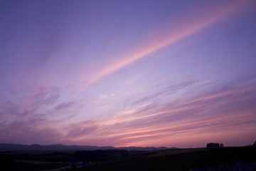夕暮れの丘