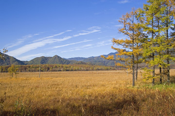 Obraz premium 秋の戦場ヶ原