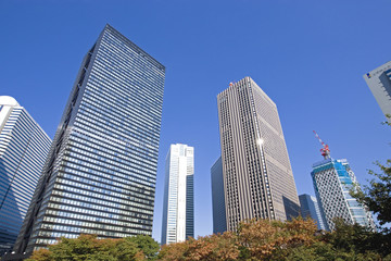 Fototapeta premium 秋の新宿高層ビル群