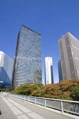 Obraz na płótnie Canvas 秋の新宿高層ビル群