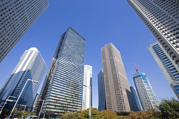秋の新宿高層ビル群 © paylessimages