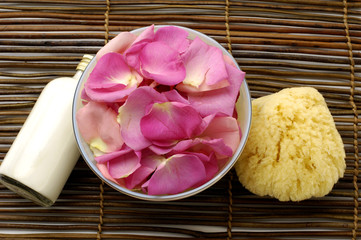 Spa Bath Setting
