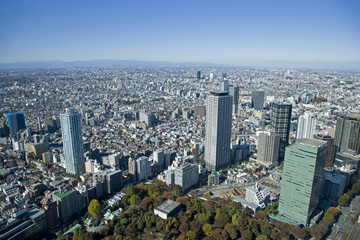 東京の街並み展望