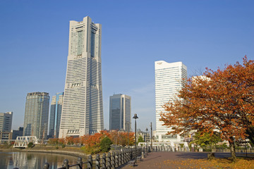 秋のみなとみらい