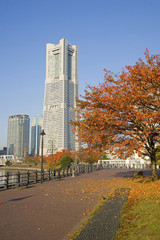 秋のみなとみらい