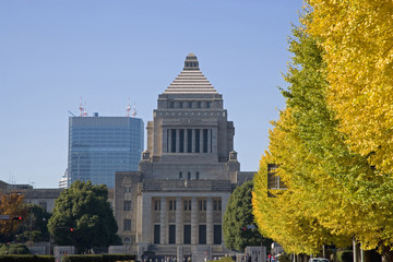 国会議事堂と銀杏並木