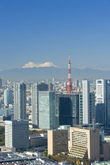 東京市街と富士山展望