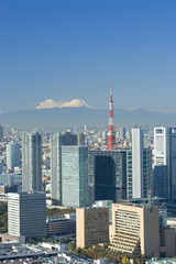Obraz premium 東京市街と富士山展望